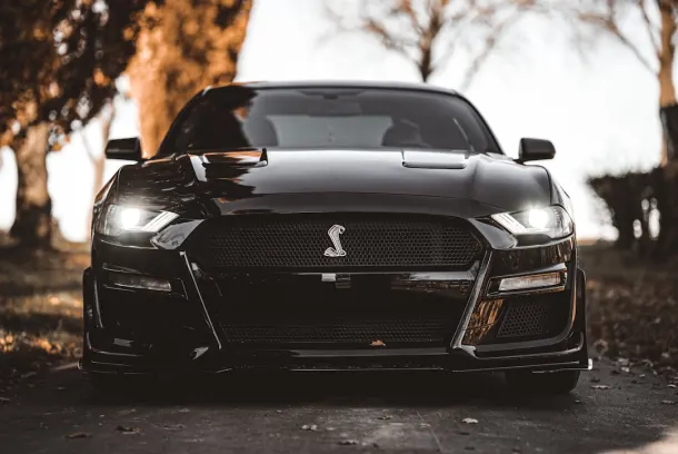 Luckland Casino Aip Android/iOS